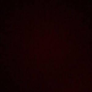 Meet your Posher, Charlotte